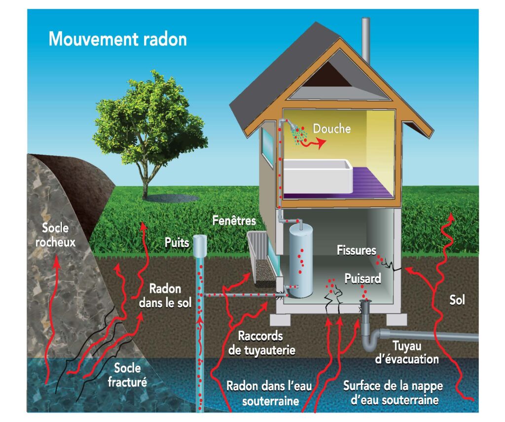 Radon - français